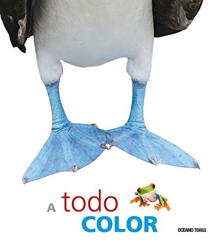 A todo color