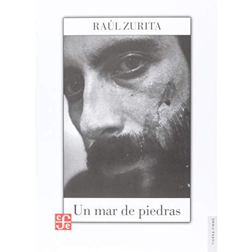 El pequeño vampiro cover