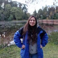 Los mapuches y el proceso que lo convirtió en indios cover