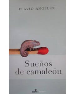 La noche del meteorito cover