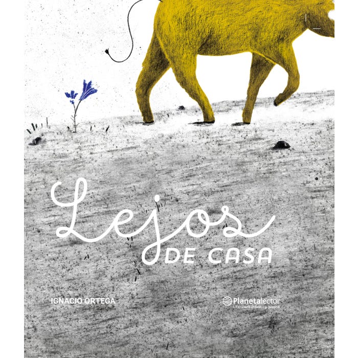Lejos de Casa cover